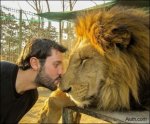 6 lion- Most Famouse Extreme Selfies www.aluth.com.jpg