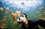 8 jellyfish-Most Famouse Extreme Selfies www.aluth.com.jpg