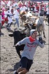 9 bull-run-Most Famouse Extreme Selfies www.aluth.com.jpg