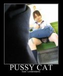 pussycat.jpg