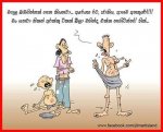 FB_IMG_1438758086186.jpg