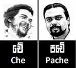 pache.jpg