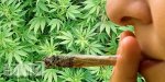 Marajuana.jpg