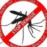 stop dengue.jpg