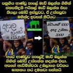 FB_IMG_1471964873820.jpg