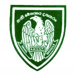 13-300x296.jpg