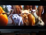 20120959_1669098219791671_606070469_n.jpg