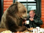 11937445_1681421252116692_7011482540531628305_n.jpg