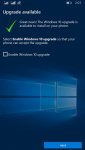 w10.jpg