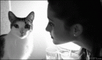 anigif_enhanced-buzz-19111-1378406626-34(2).gif