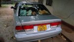 IMG_20160313_182845.jpg