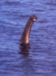 Loch_Ness_Muppet.jpg