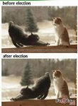before-and-after-election.jpg before-and-after-election.jpg