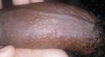 13_800x434.jpg