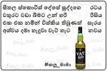 FB_IMG_1461245661429.jpg