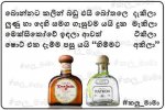 FB_IMG_1461245676709.jpg