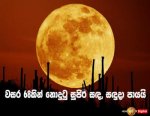 super-moon_final__1478932563_58.153.222.110.jpg