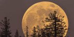 o-SUPERMOON-facebook__1479125974_58.153.222.110.jpg o-SUPERMOON-facebook__1479125974_58.153.222.110.jpg