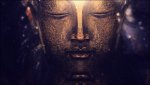 123981-buddha.jpg