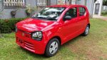 Alto Hybrid.jpg