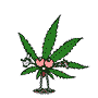 avatar312790_60.gif