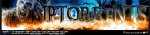 Torrents   IPTorrents    1 Private Tracker.jpg