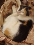 DSC06666.jpg