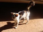 DSC06668.jpg