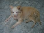 2016-02-18.jpg