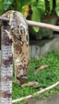 20160514_132825_00122.jpg