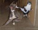 A7TLS1JCAQSYZ7RCAMG0W2GCAEH8NFUCAIR08L7CAWEKM3LCA2ORNIHCAH67D5JCAWST9AHCA801DI9CA1ATE70CAVEMBYXC.jpg