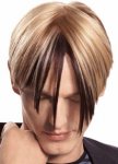 style_1j.jpg