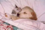 image004.jpg