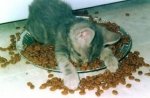image007.jpg
