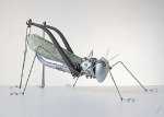 4919858_iron12.jpg