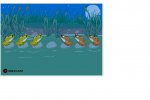 frog2.JPG
