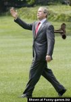 funny-bush-photo.jpg