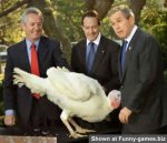 turkey-bush.jpg