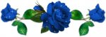 image002hj3tr6.jpg