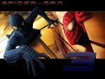 spiderwall2.jpg