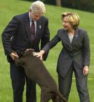 clinton1.jpg