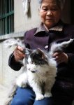 winged cat.jpg