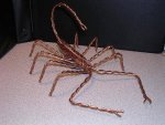 Scorpion1.jpg