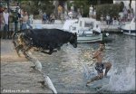 water_walk.jpg