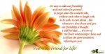 friend04.jpg