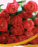 header1.gif