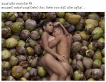 pol-pol.jpg
