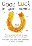 good-luck-in-your-exams-greeting-card-577-p[ekm]233x335[ekm].jpg