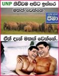 unp.jpg