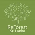 reforest logo.jpg